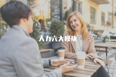 人力六大模塊（人力資源管理的六大模塊介紹與應用）