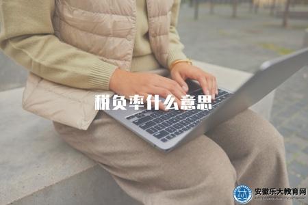 稅負率什么意思（稅負率的定義和解釋）