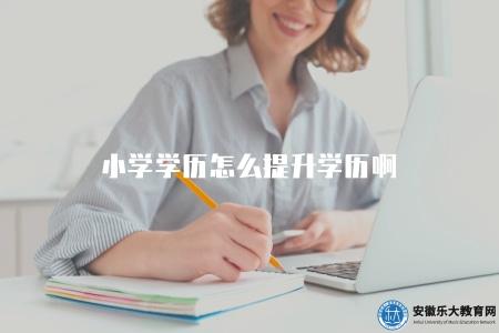 小學學歷怎么提升學歷啊(解答小學學歷如何提升的問題及相關建議) 小學學歷怎么提升學歷啊(解答小學學歷如何提升的問題及相關建議)