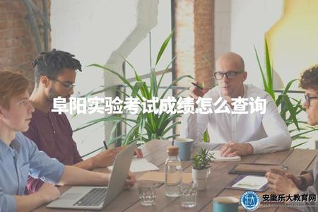 阜陽實驗考試成績怎么查詢（方便考生及時獲知考試成績）