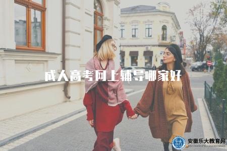 成人高考網上輔導哪家好(推薦優質的成人高考網上輔導平臺和課程) 成人高考網上輔導哪家好(推薦優質的成人高考網上輔導平臺和課程)