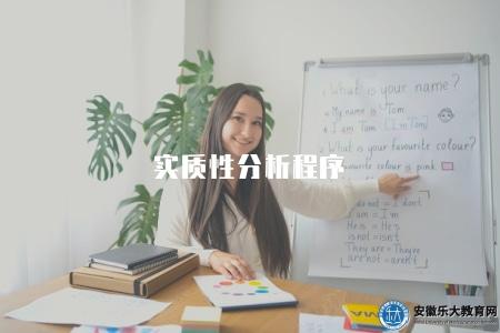 實質性分析程序（2023年法律訴訟程序中實質性審理階段的流程）