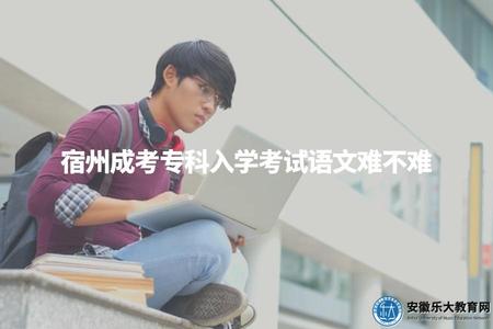 宿州成考專科入學考試語文難不難（成人高考語文考試不難）