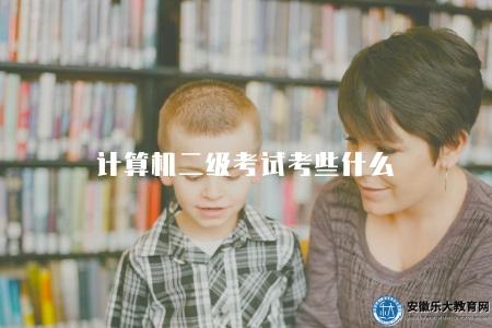 計算機二級考試考些什么（2023年考試科目和備考重點）
