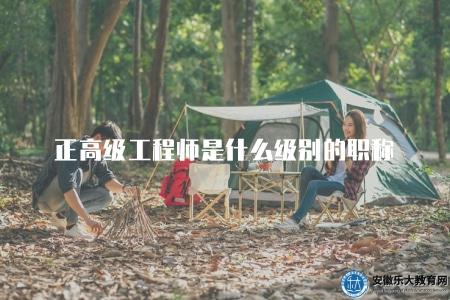 正高級工程師是什么級別的職稱(行業職稱等級解釋) 正高級工程師是什么級別的職稱(行業職稱等級解釋)