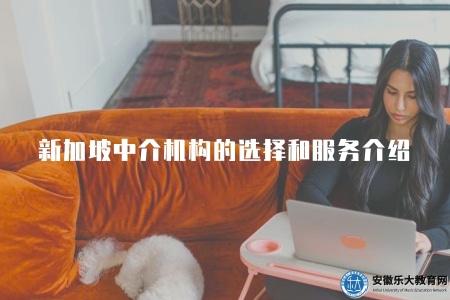 新加坡中介機構的選擇和服務介紹（服務介紹有五點）