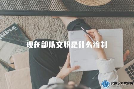 現在部隊文職是什么編制（當前部隊文職編制情況）
