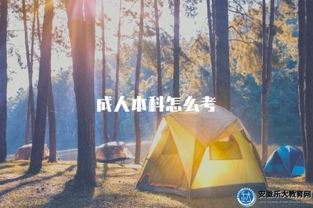 成人本科怎么考（了解成人本科的考試方式及流程）