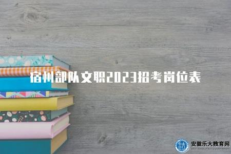 宿州部隊文職2023招考崗位表（三大類崗位）