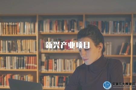 新興產業項目（關注新興產業的投資項目和發展趨勢）