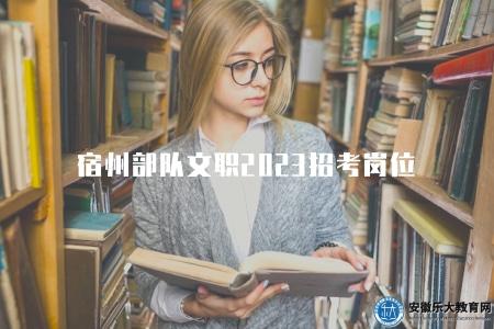 宿州部隊文職2023招考崗位（文職崗位招考類別）