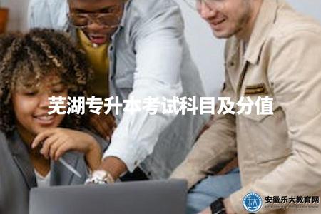 蕪湖專升本考試科目及分值（幾門科目、每門科目多少分）