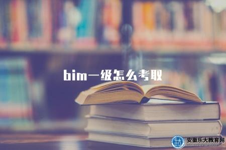 bim一級怎么考取（bim一級通過技巧分享）