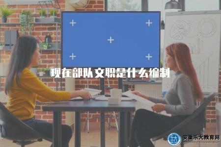 現在部隊文職是什么編制（目前部隊文職人員的編制情況）