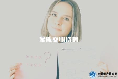 軍隊文職待遇（詳細解讀軍隊文職的薪資和福利待遇）