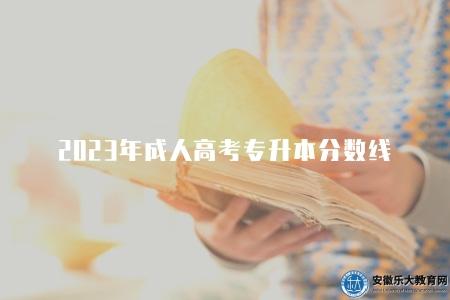 2023年成人高考專升本分數線（錄取分數線有三種途徑查看）