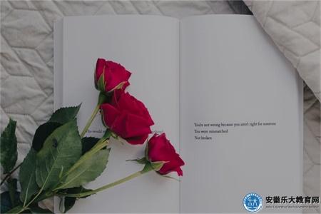 合肥自學考試學什么專業前景好一些（在哪網上報考）