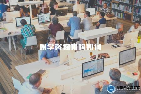 留學咨詢機構如何（學習如何選擇合適的留學咨詢機構）