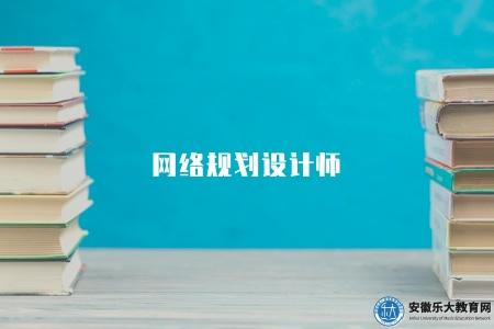 網絡規劃設計師（職業介紹及考試指南）