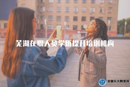 蕪湖在職人員學歷提升培訓機構（介紹蕪湖地區在職人員學歷提升的培訓機構）
