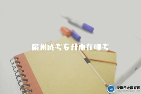 宿州成考專升本在哪考（考點及相關信息）