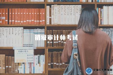 初級審計師考試（初級審計師考試內容和備考建議）