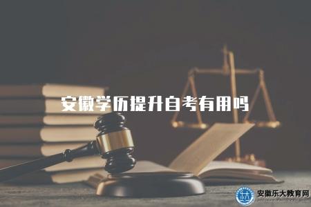 安徽學歷提升自考有用嗎(安徽學歷提升通過自考的效果分析) 安徽學歷提升自考有用嗎(安徽學歷提升通過自考的效果分析)