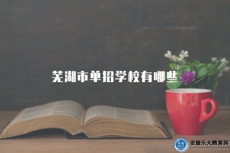蕪湖市單招學校有哪些（蕪湖市單招學校匯總及招生信息）