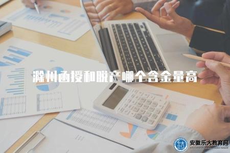 滁州函授和脫產哪個含金量高（比較滁州函授學歷和脫產學歷的價值）