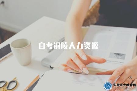 自考銅陵人力資源（三所可以考人力資源的學校）