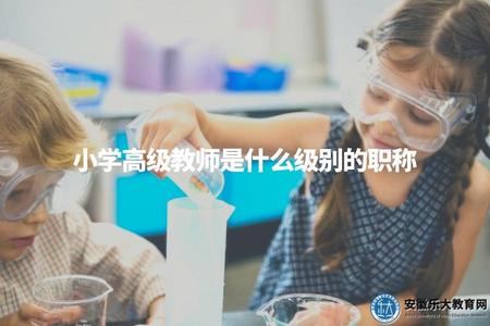 小學高級教師是什么級別的職稱（教育系統職稱等級解釋）