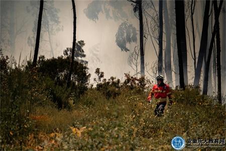 滁州中级消防操作员证怎么报名（含3项费用各有差异）